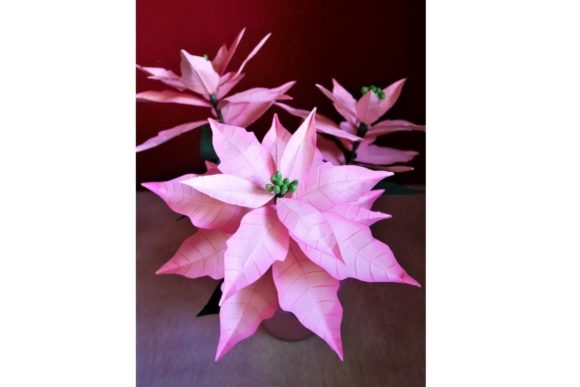 Poinsettia Paper Flower Templates: A Practical Guide to Crafting Holiday Decor